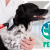 [Image: PRUEBA-NO COMPRAR Paga $1 en Lugar de $35 por Grooming para Tu Perro que Incluye: Baño, Limado y Corte de Uñas, Limpieza de Oídos y Glándulas Anales, Cepillado de Dientes, Perfume, Moño o Pañoleta + Desparasitación Oral e Inyectada!m]
