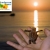[Image: Test 11.6.12m]
