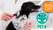 [Image: PRUEBA-NO COMPRAR Paga $1 en Lugar de $35 por Grooming para Tu Perro que Incluye: Baño, Limado y Corte de Uñas, Limpieza de Oídos y Glándulas Anales, Cepillado de Dientes, Perfume, Moño o Pañoleta + Desparasitación Oral e Inyectada!m]